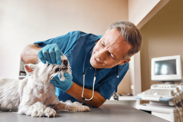 Best Emergency Tooth Extraction in Harrington, DE