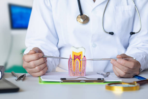 Best Emergency Gum Treatment in Harrington, DE